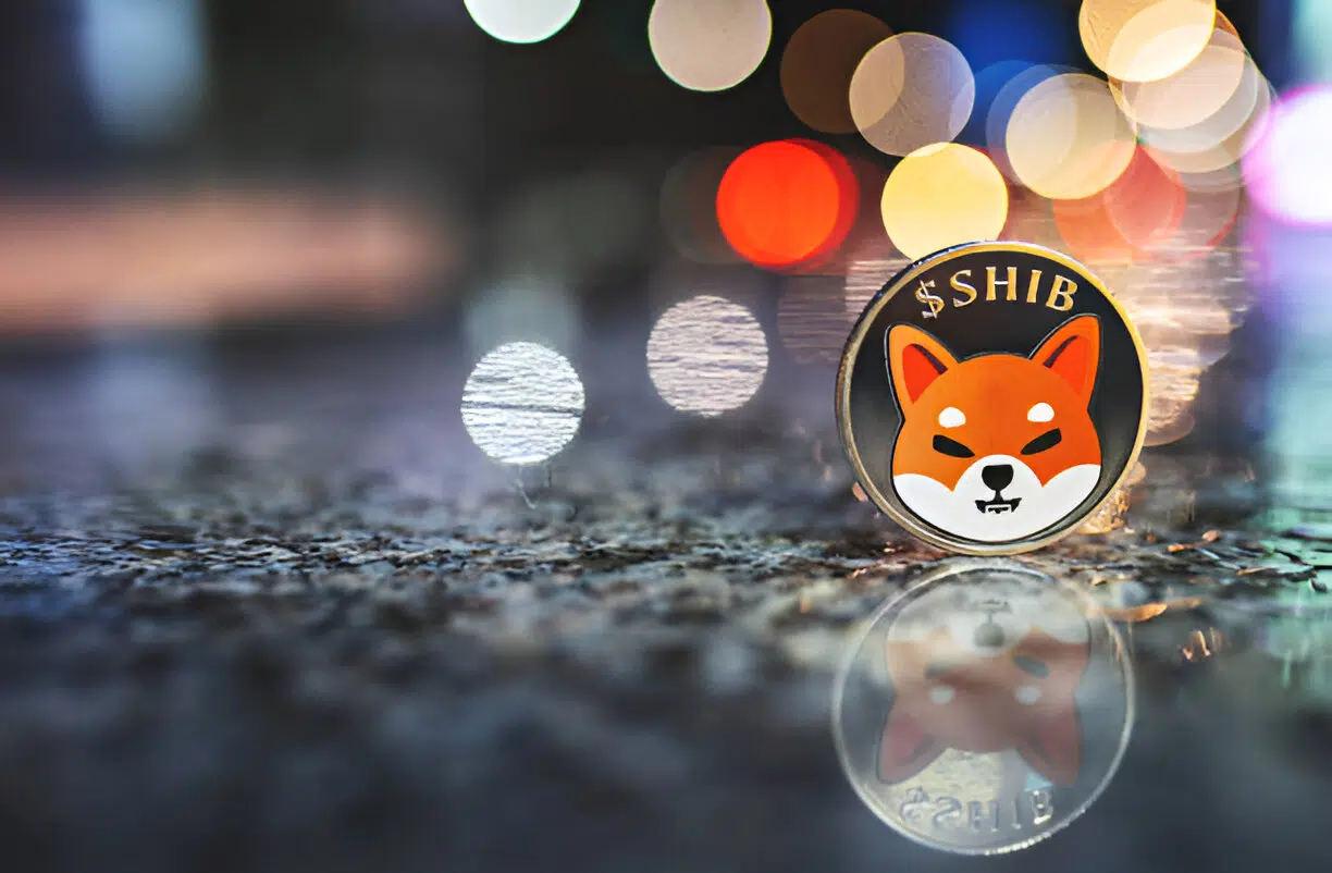 Will Shiba Inu Coin Reach $1